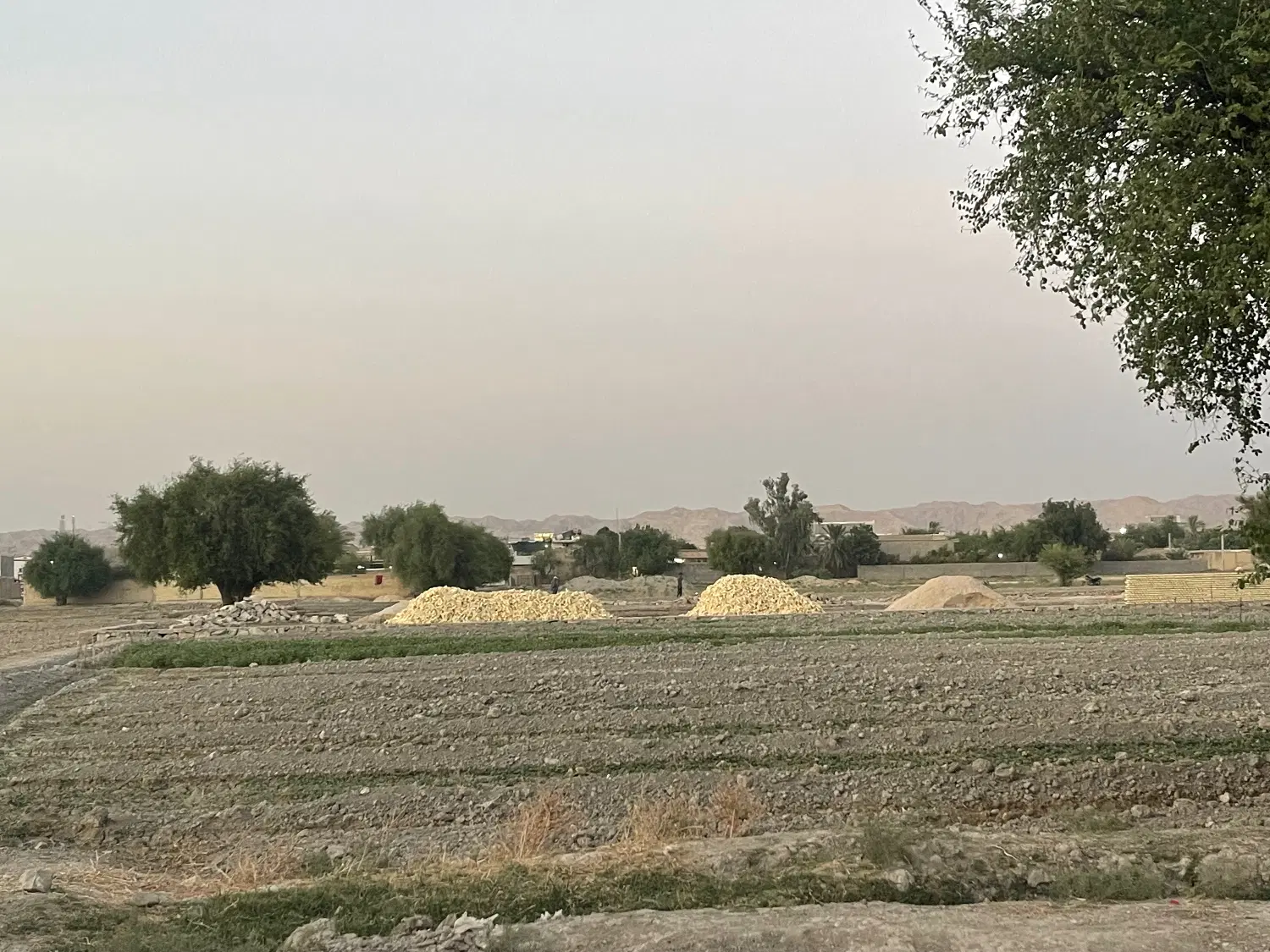 فروش زمین