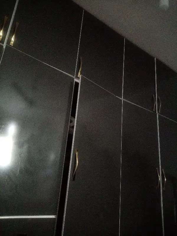 هم خانه خانم میشم