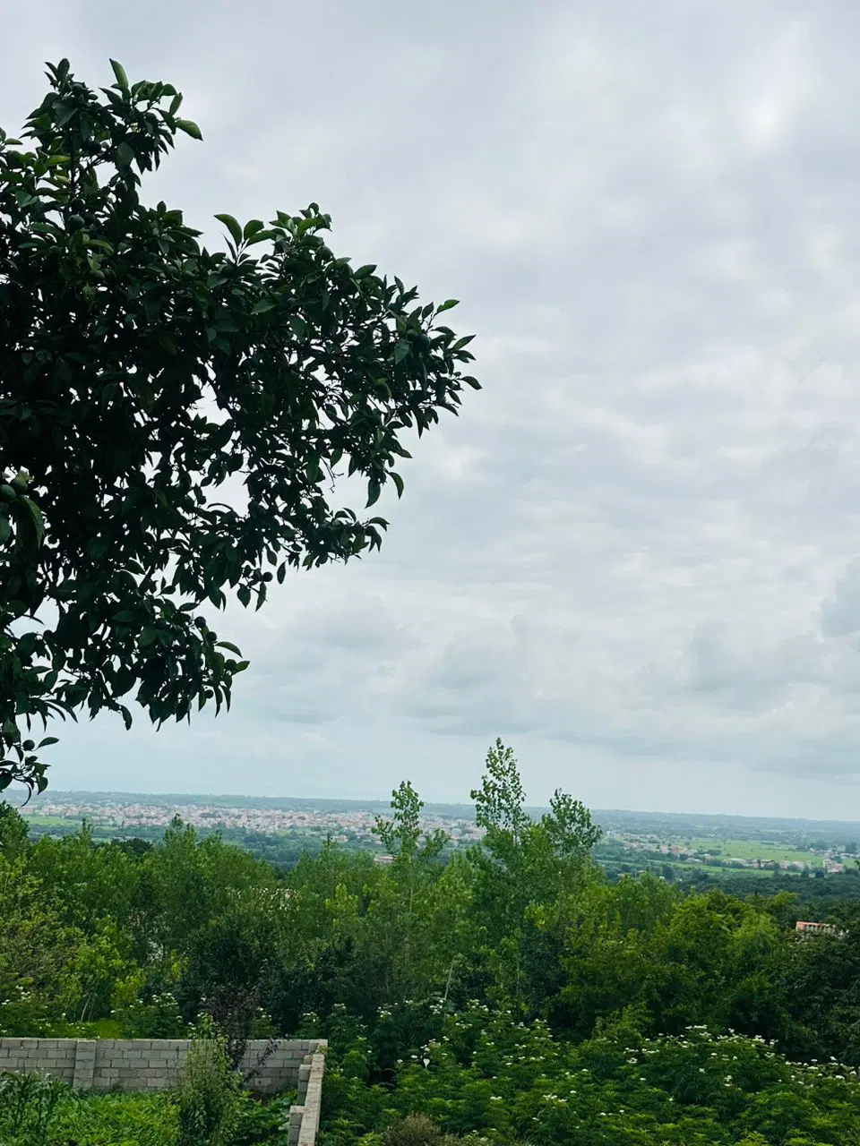 ۲۵۰مترزمین_مسکونی_کوهپایه_روستایی
