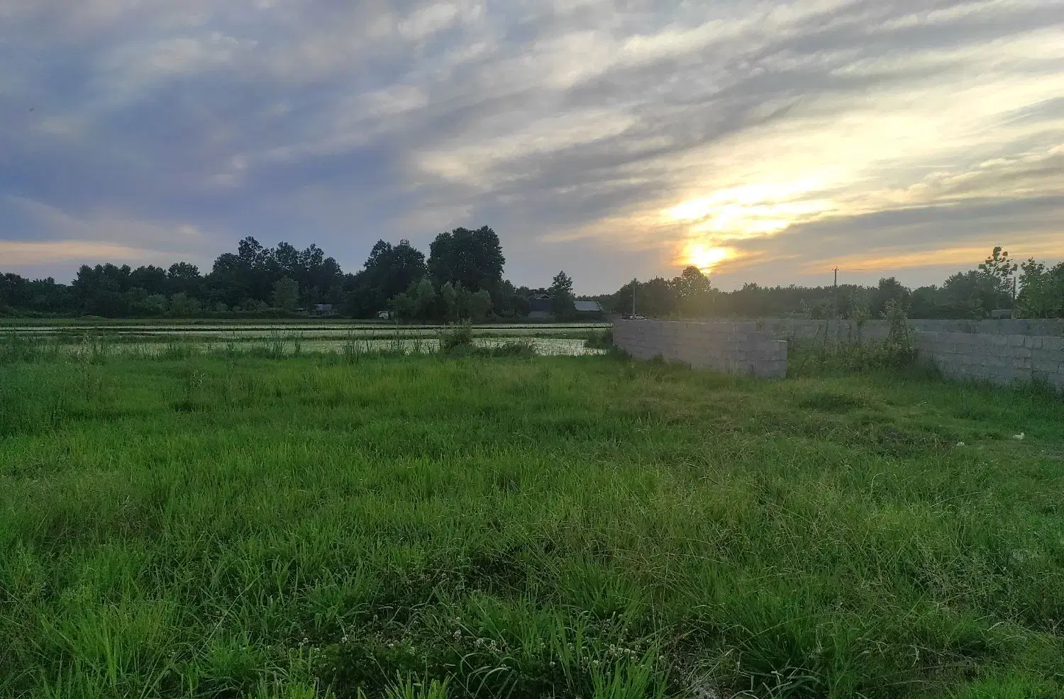 زمین مسکونی در روستای زیبای دافچاه