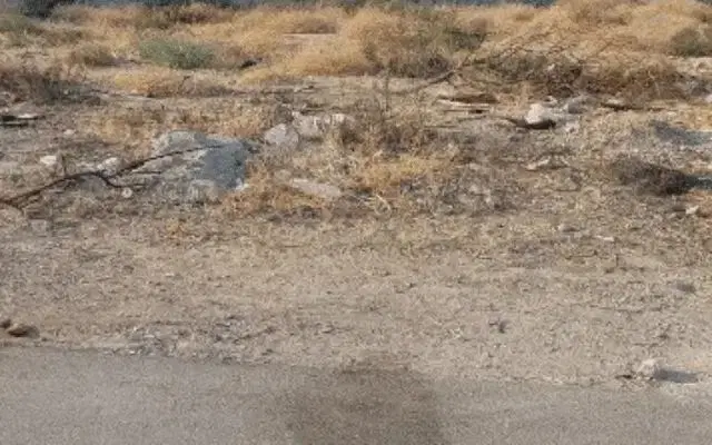 زمین تجاری