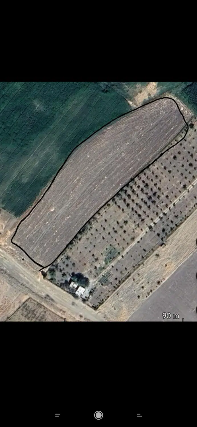 زمین کشاورزی