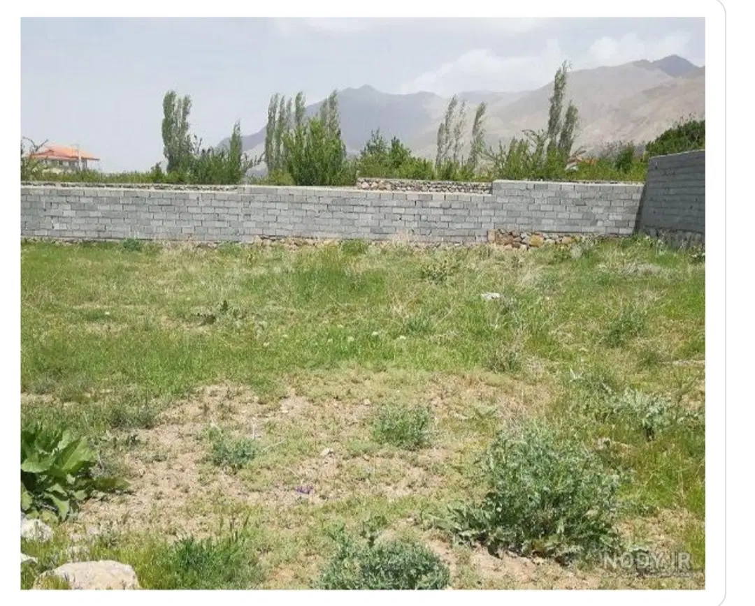 زمین کشاورزی در بادرود