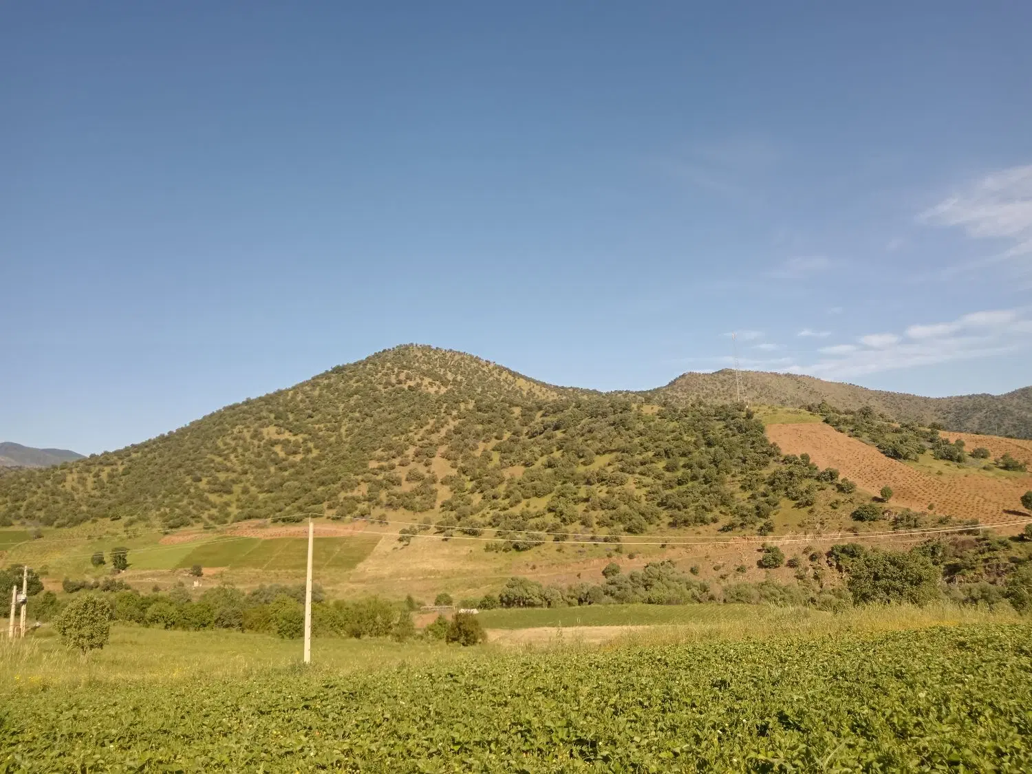 فروش و معاوضه زمین