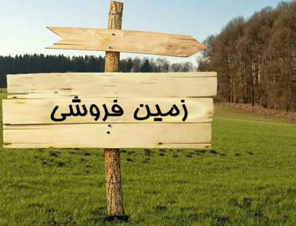 فروش زمین حصار امیر گلبرگ 49