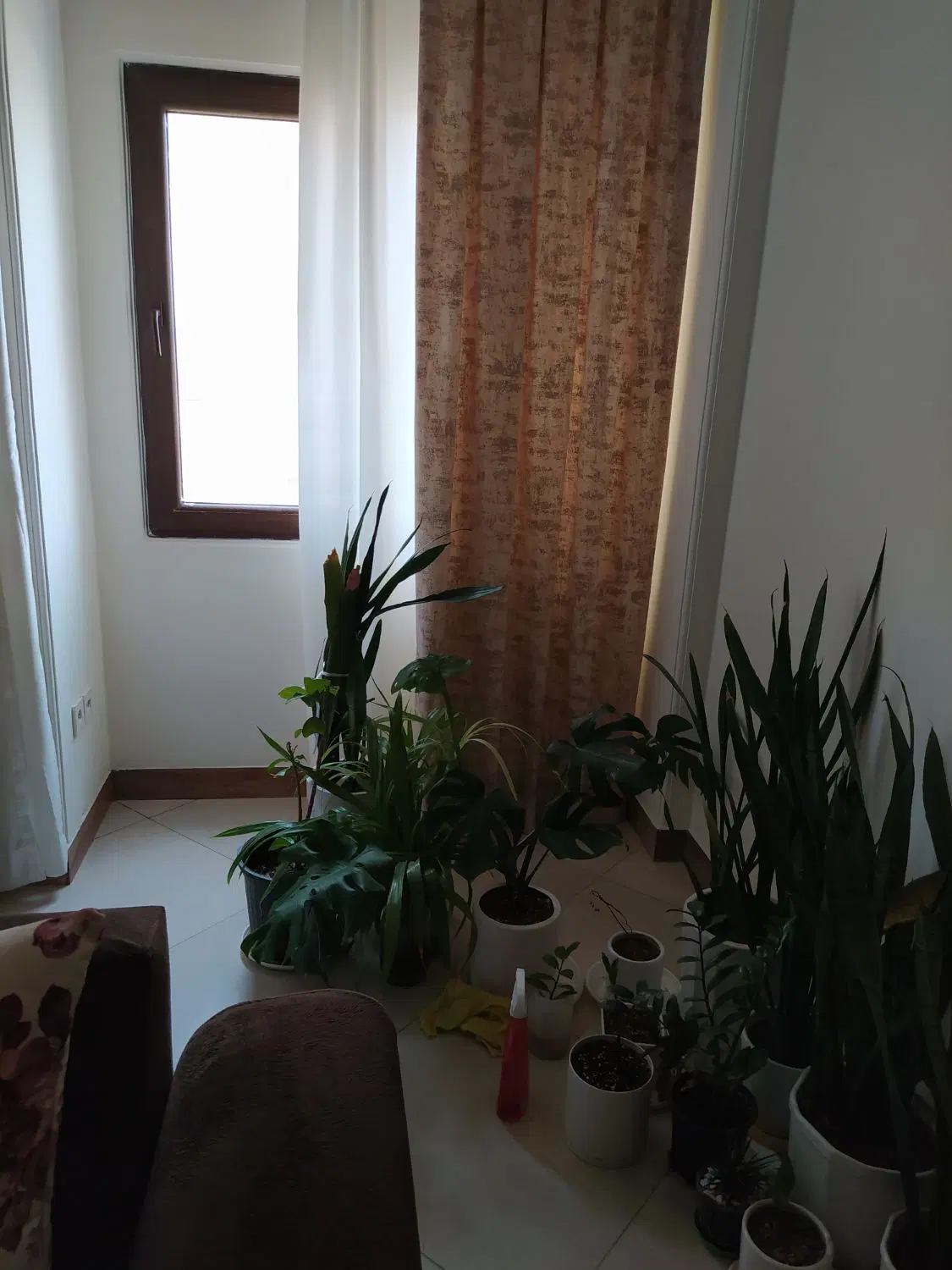 اجاره واحد مسکونی
