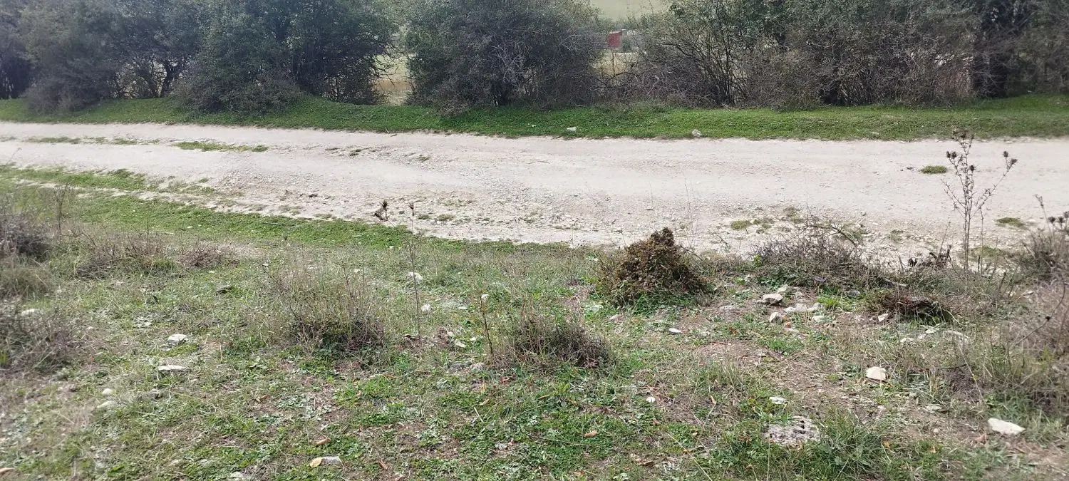 زمین کشاورزی عالیدره لشکنار معاوضه