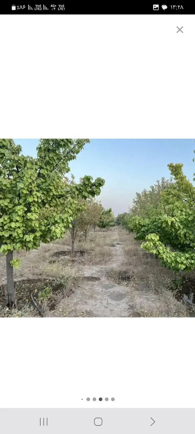 باغ ۵۰۰ متری چهچه