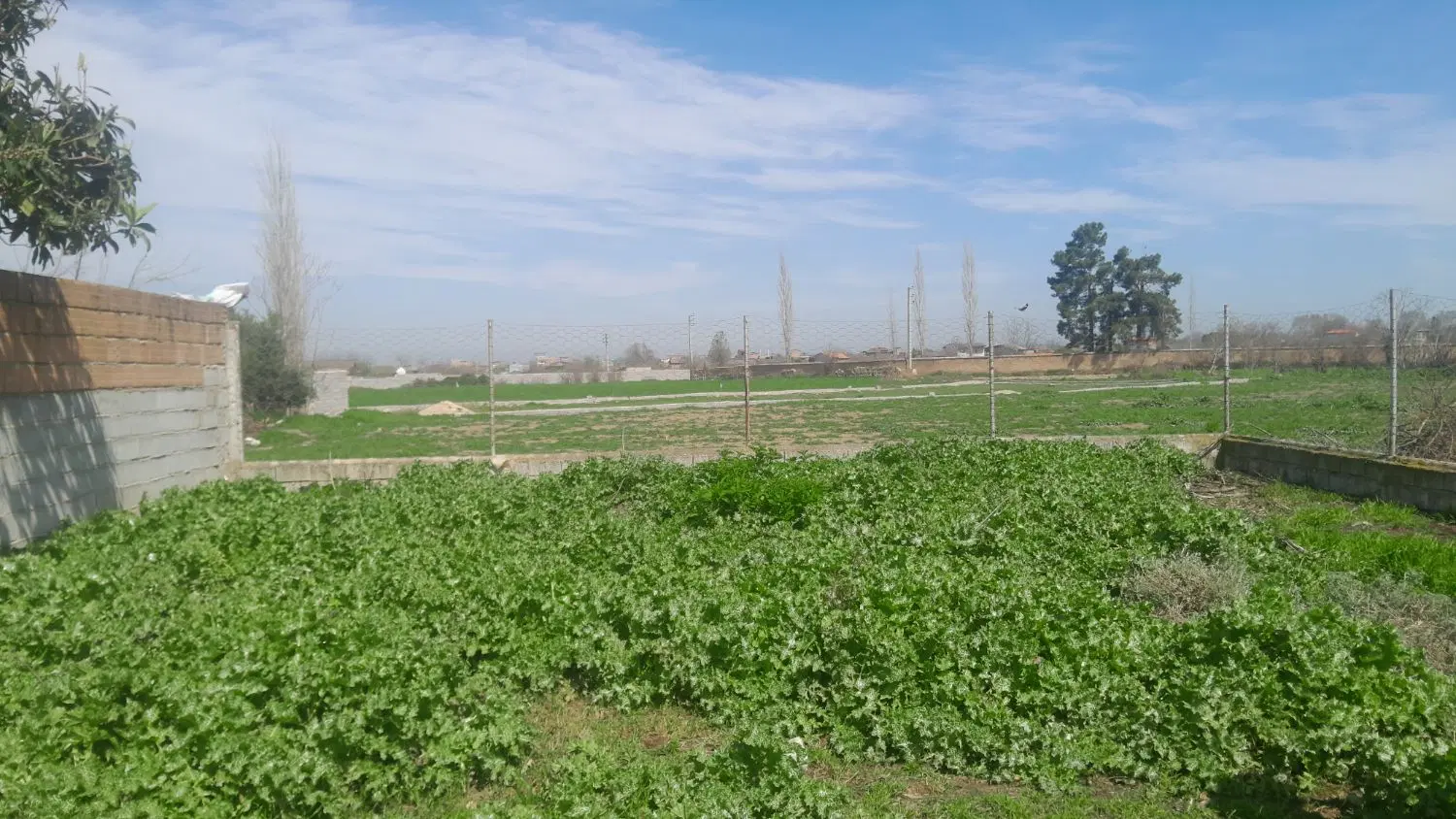 زمین کفشگیری