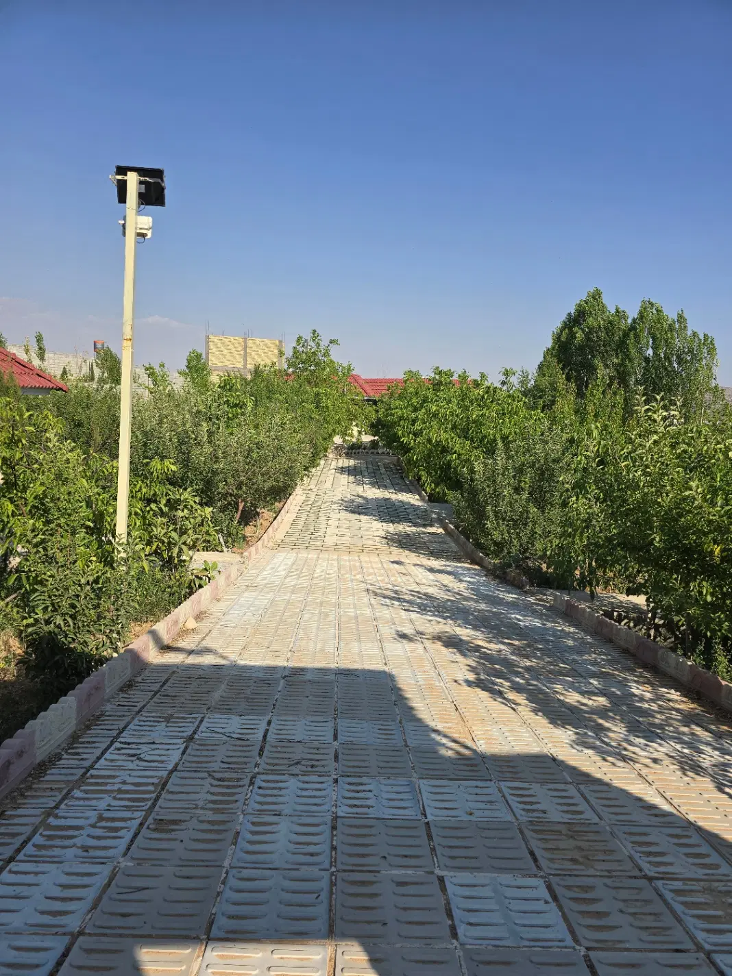 باغ شهری