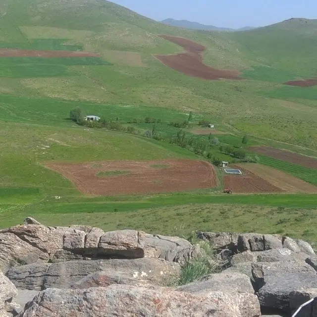 زمین کشاورزی