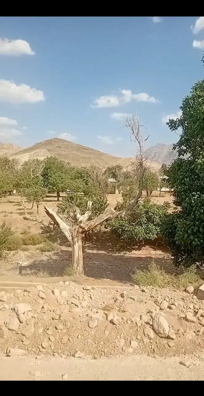 فروش فوری زمین ۱۳۱متری علی‌آباد_داخل طرح هادی