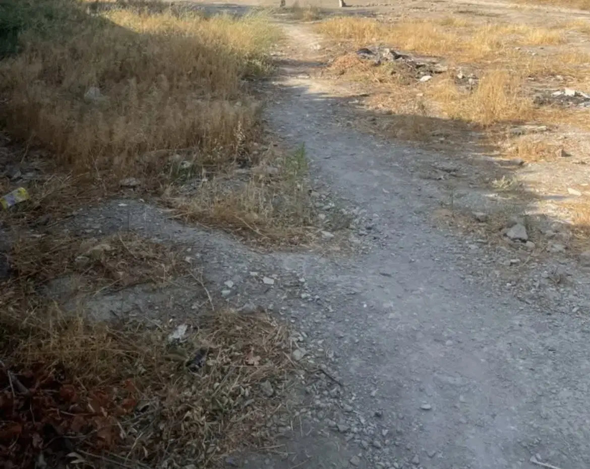 زمین