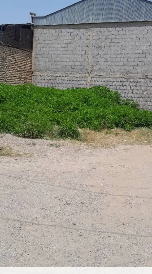 زمین ۱۲۰ متری سند دار جاده فومن