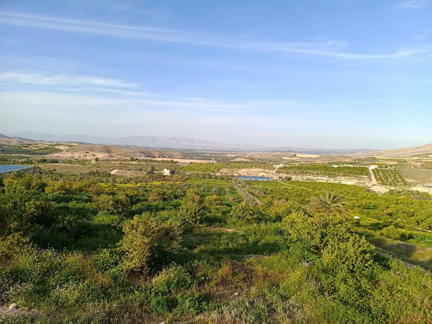 فروش باغ مقصود آباد