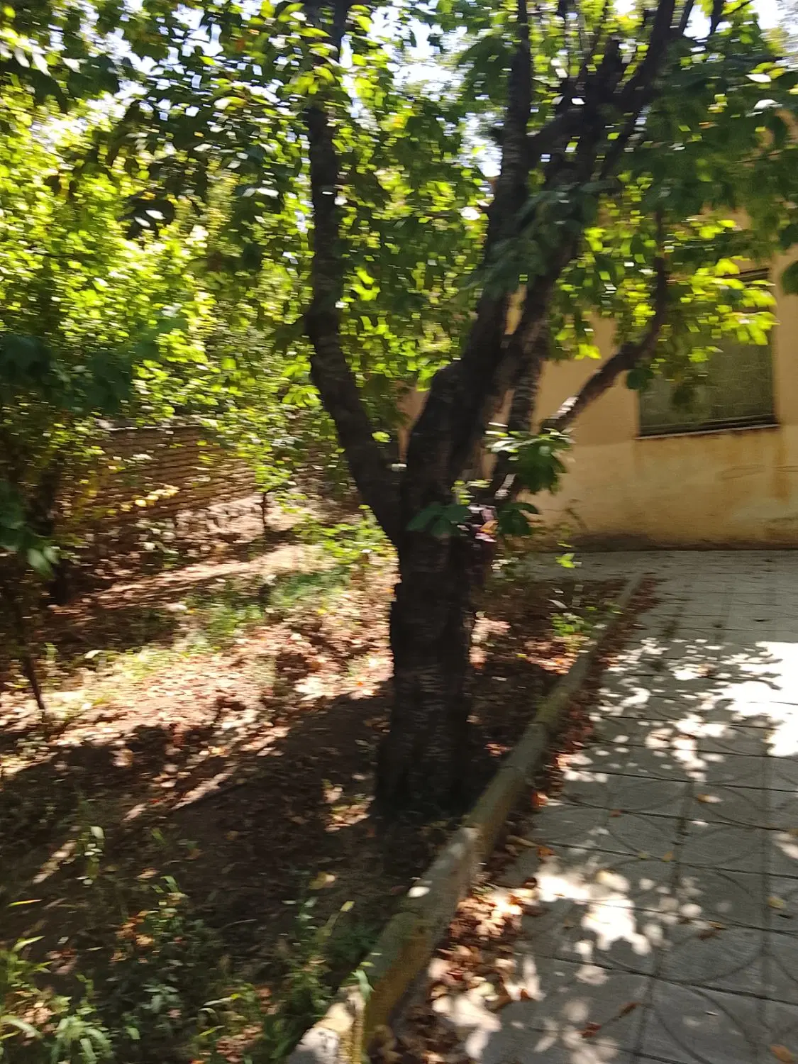باغ کوهسار زیر قیمت