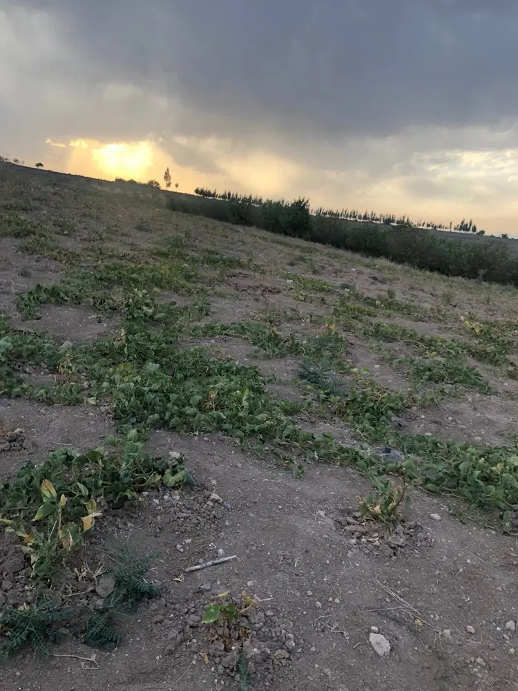 یک قطعه زمین