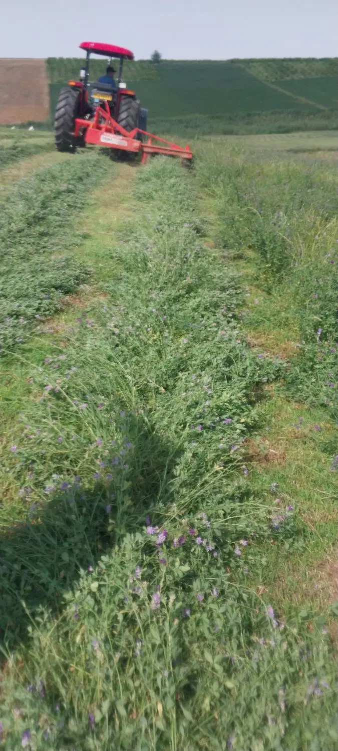 اجاره زمین 4 هکتار روستای ابراهیم کندی 3