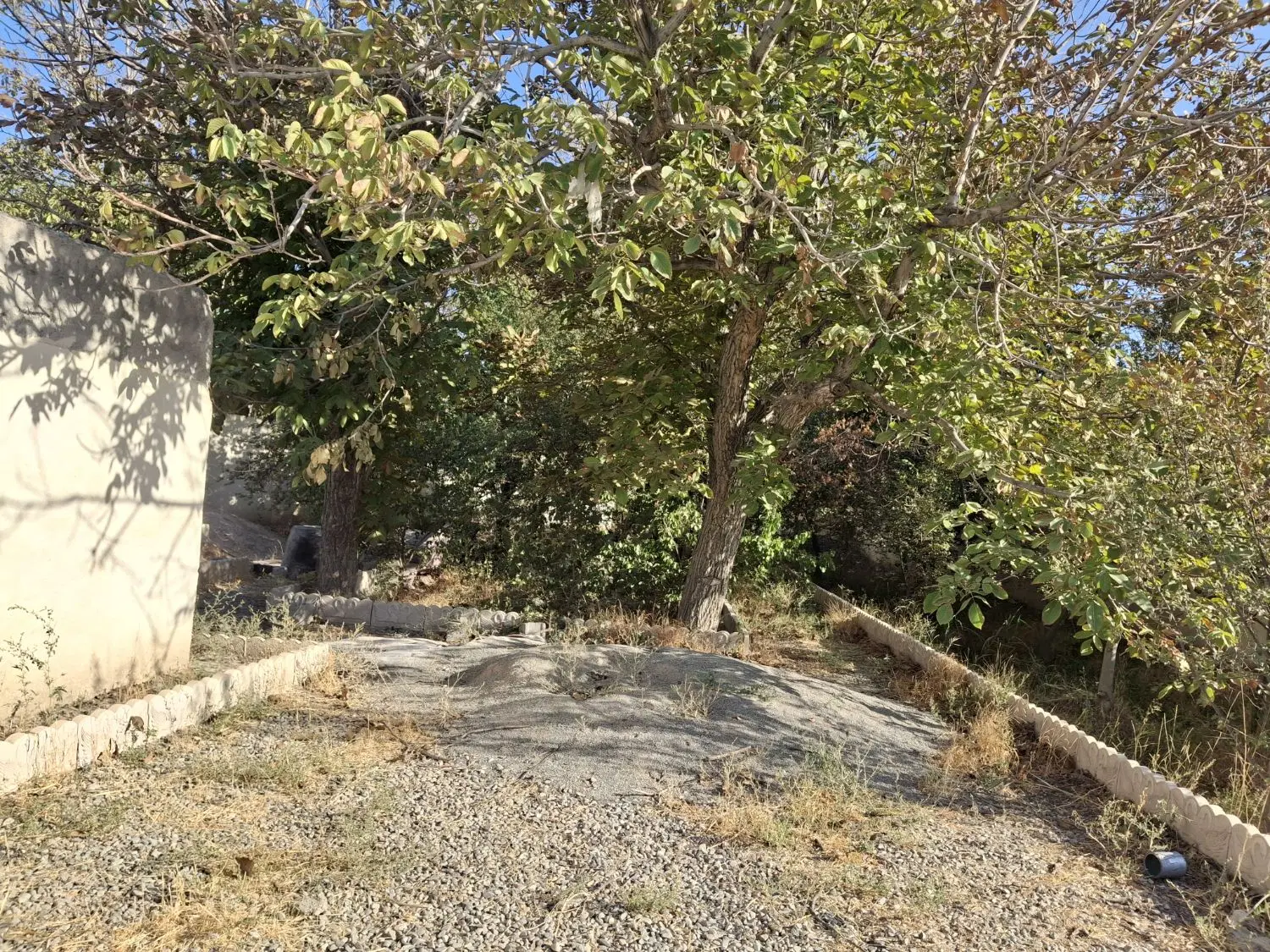 یه قطعه باغ ۴ دیواری در بکه