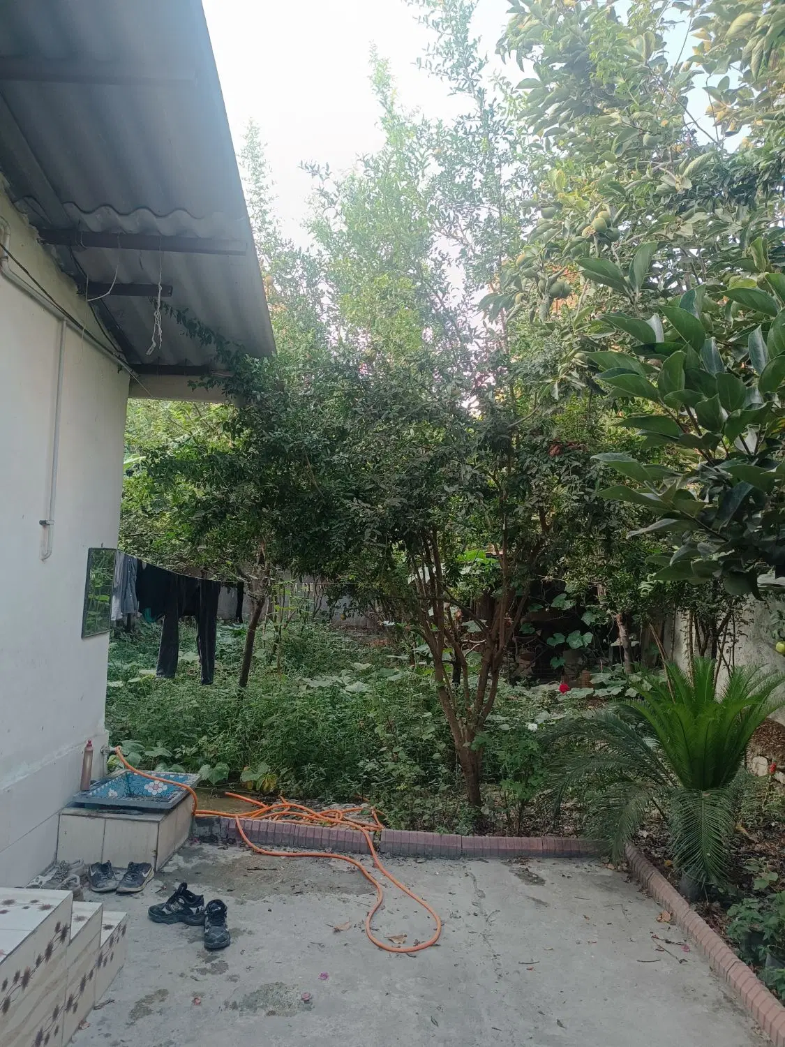 خانه باغ