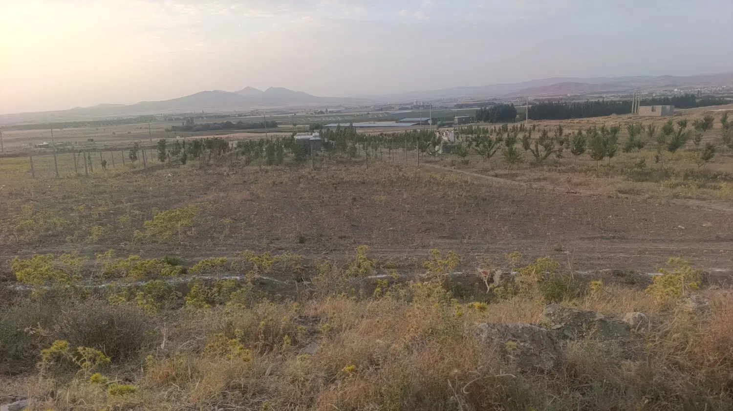 زمین کشاورزی