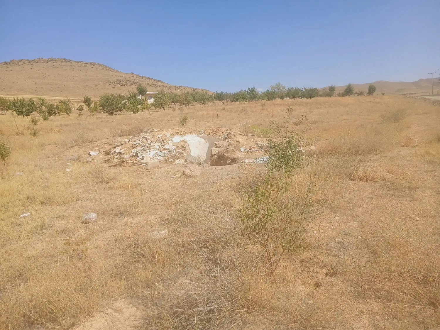 باغ