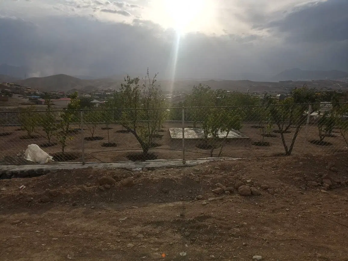 فروش باغ میوه