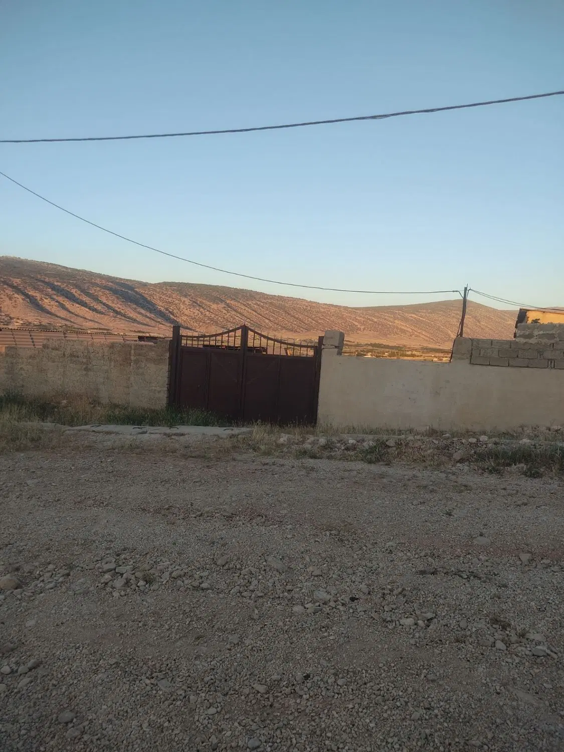 اجاره گاوداری
