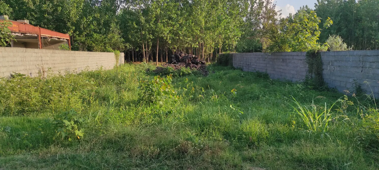 زمین باغی