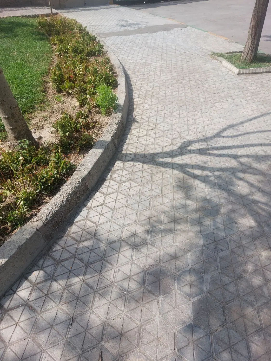 زمین ۵۰۰ متر گلمکان