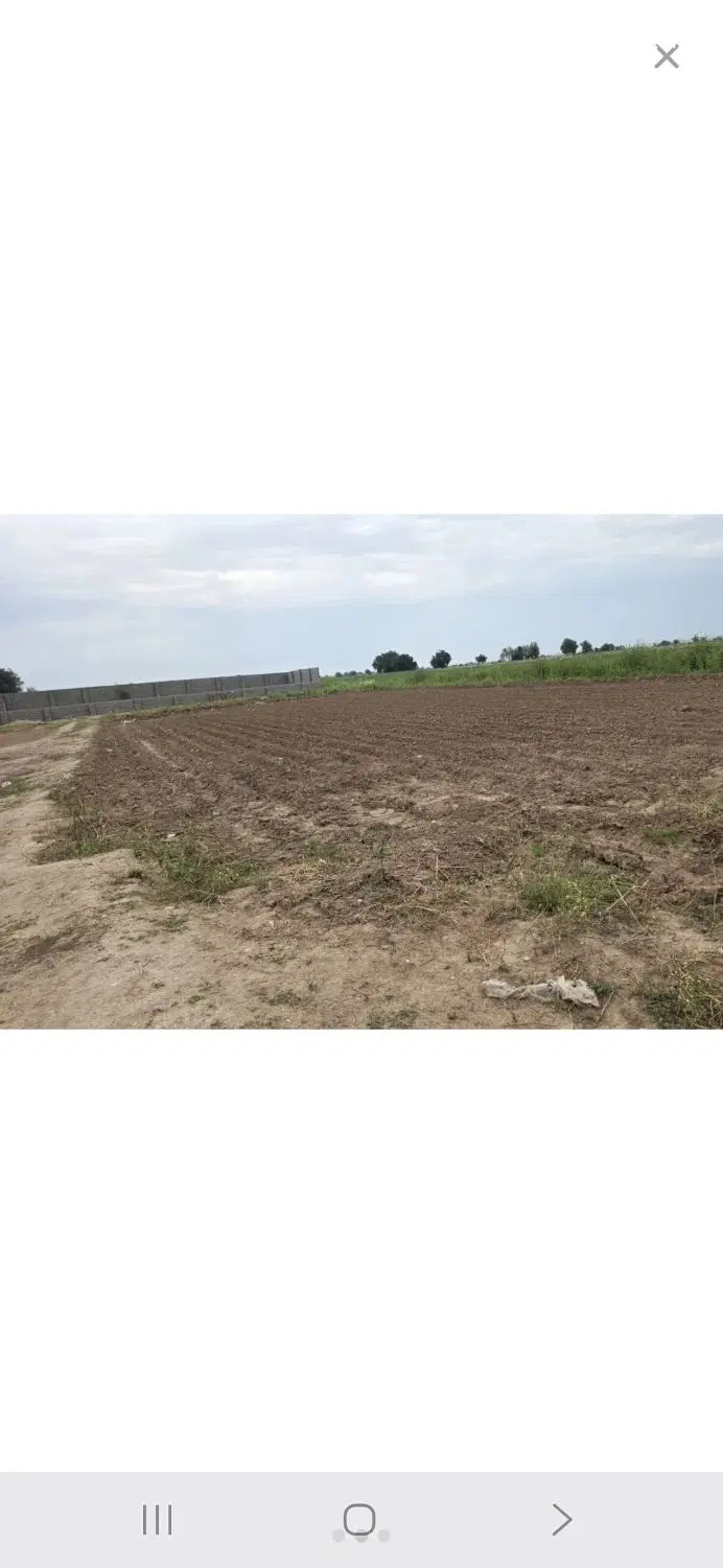 ی قطعه زمین باغی