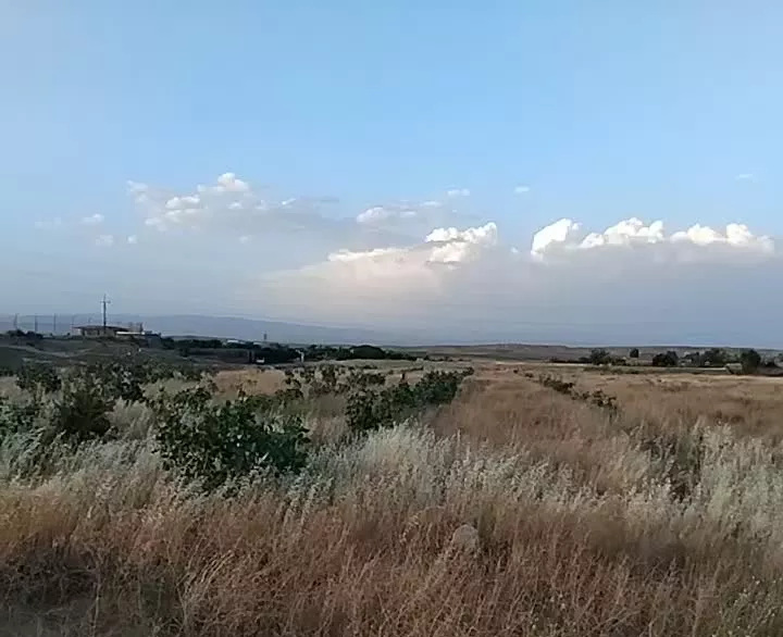 زمین ۵۰۰۰ متری روبروی دانشگاه آزاد
