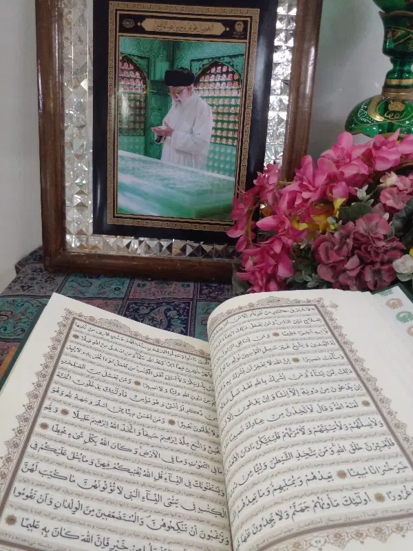 همخانه