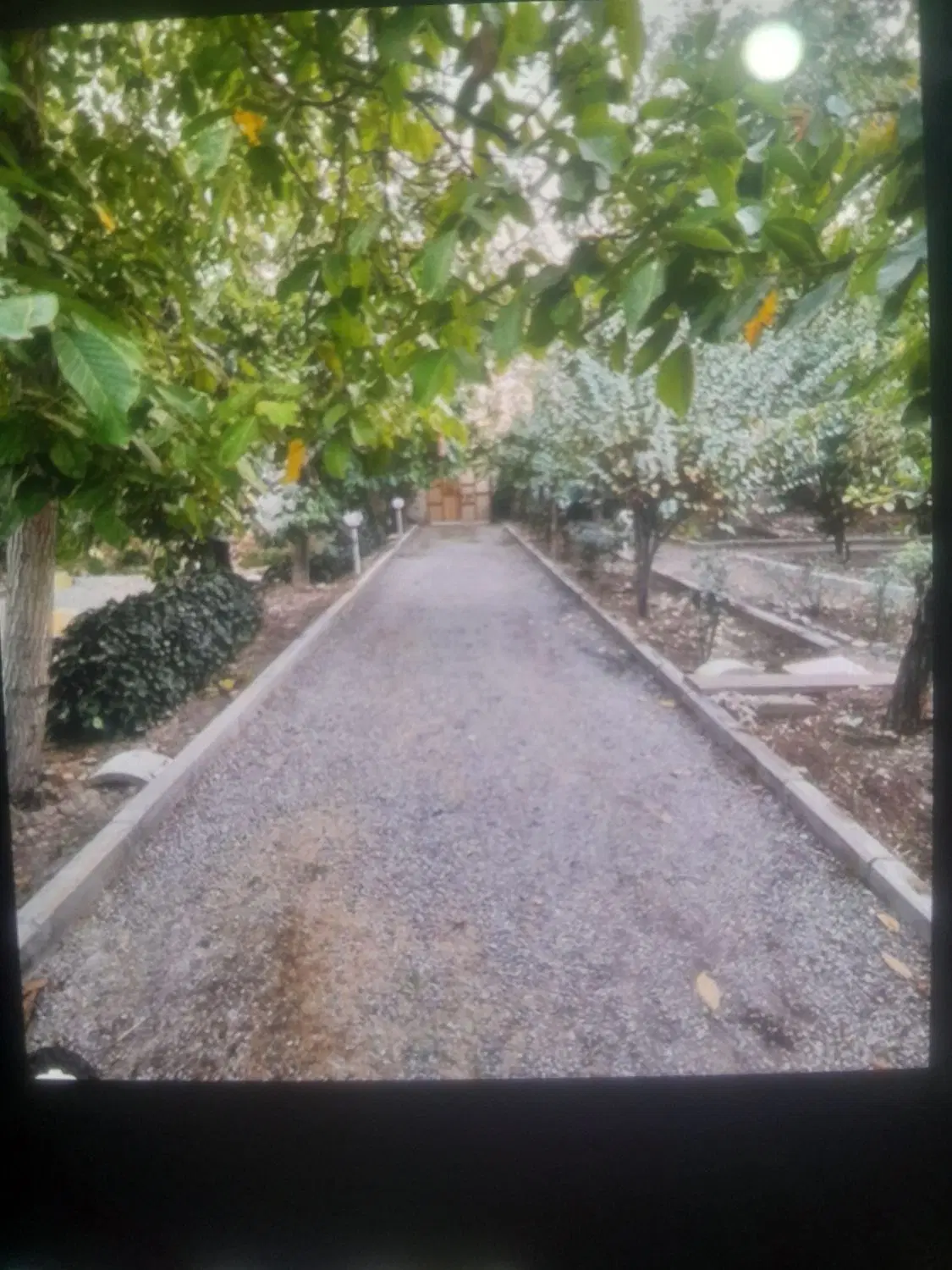 خرید فروش ملک باغ، باغچه، زمین،