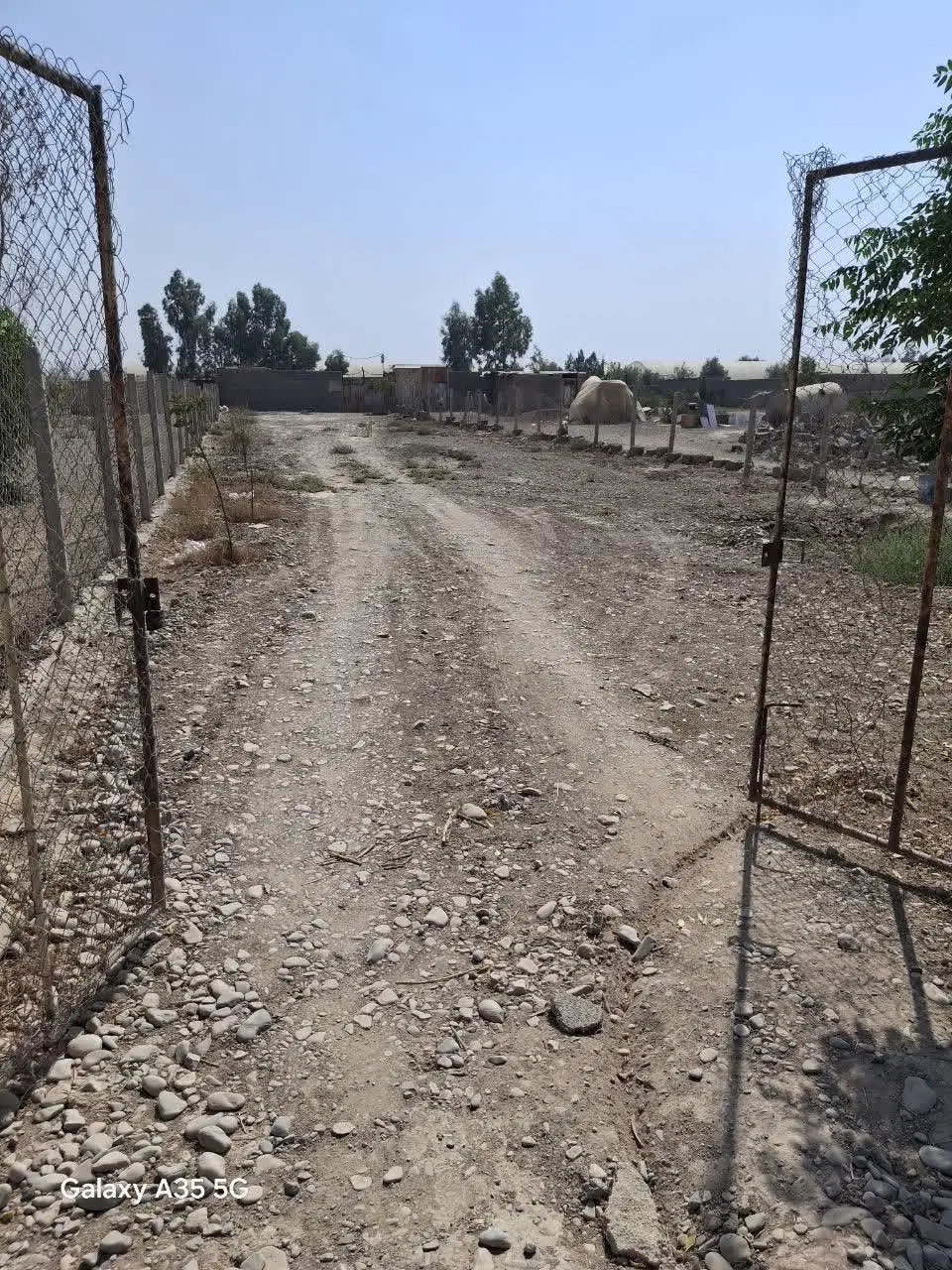 دامداری