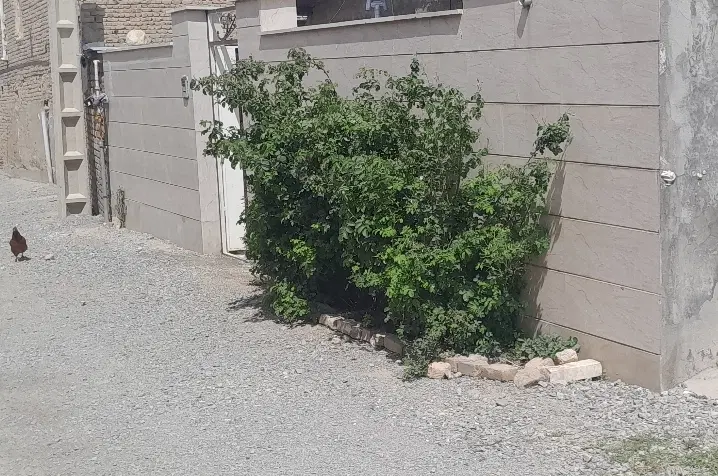 خانه ویلایی واقع در روستا۲۵۰ متر