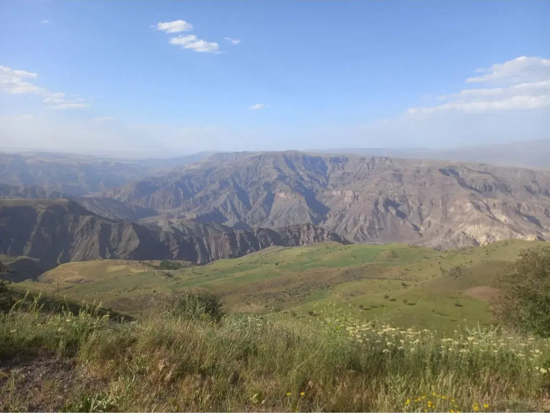 فروش چند قطعه زمین زرنان