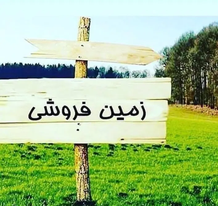 زمین با سند شش دانگ نمک آبرود