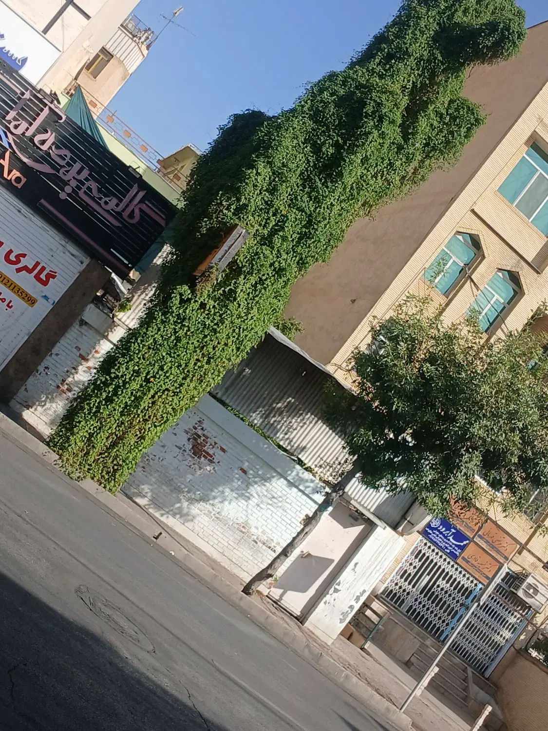 خوابگاه دخترانه بدون ودیعه  تایم ازاد