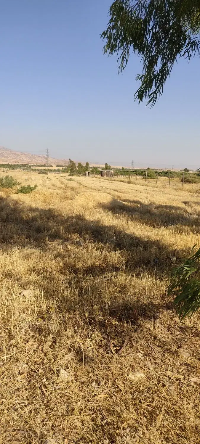 زمین دامغه کوچک