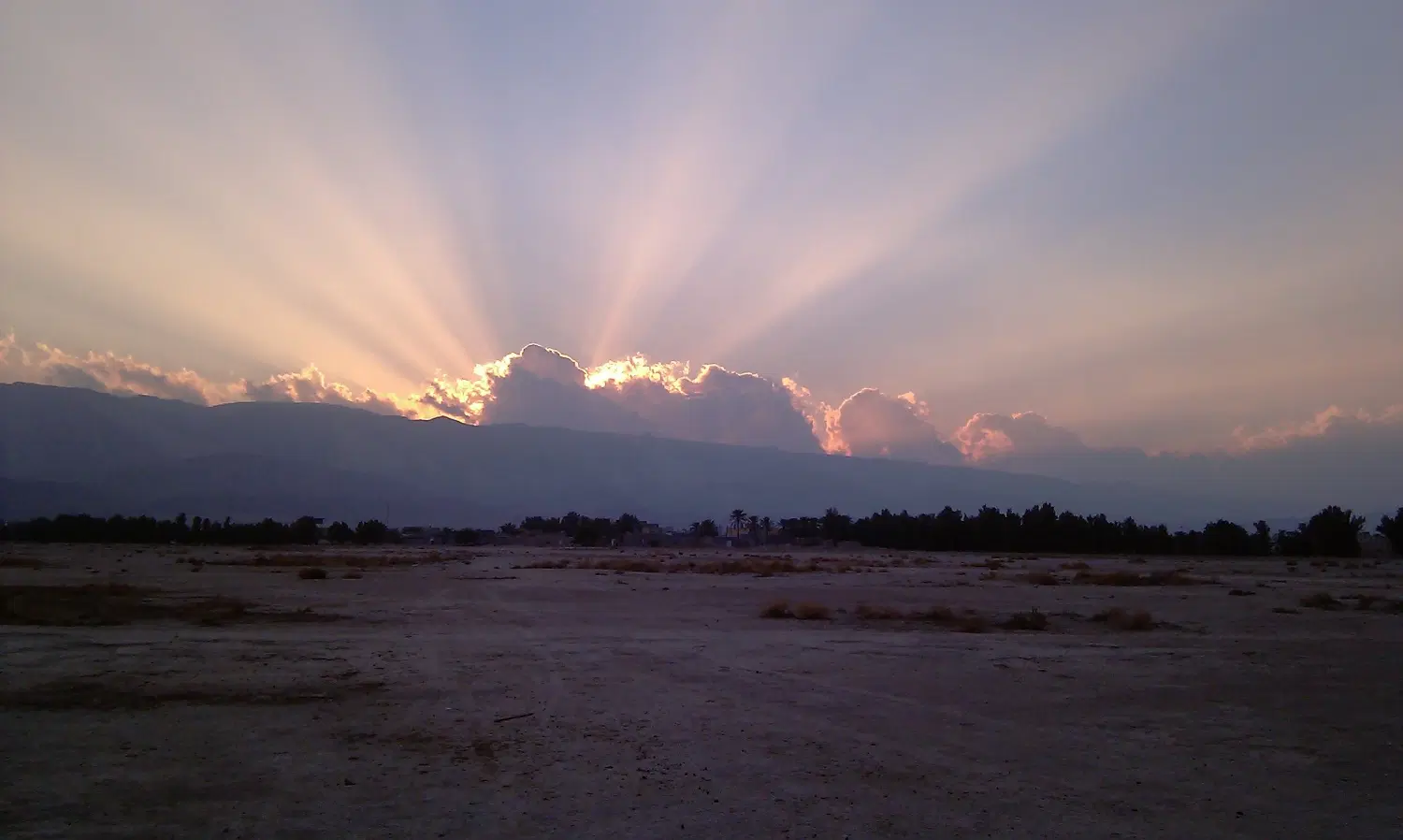 زمین باغی محدوده مرکزی لامرد