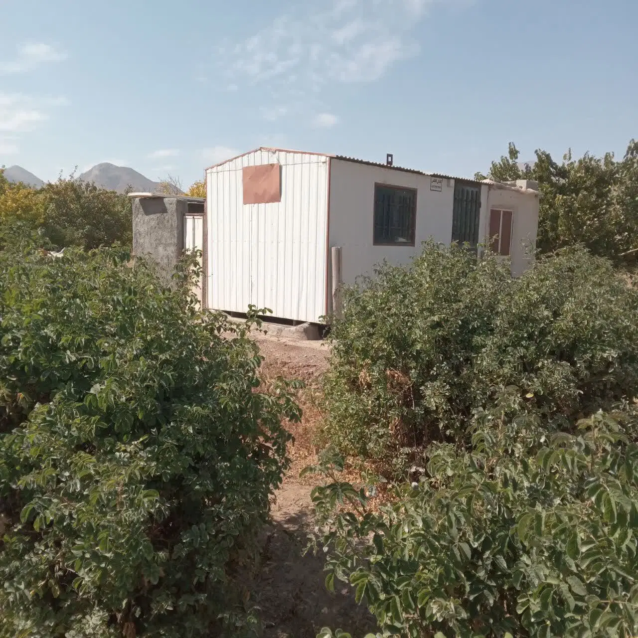 زمین کشاورزی ویدوجا