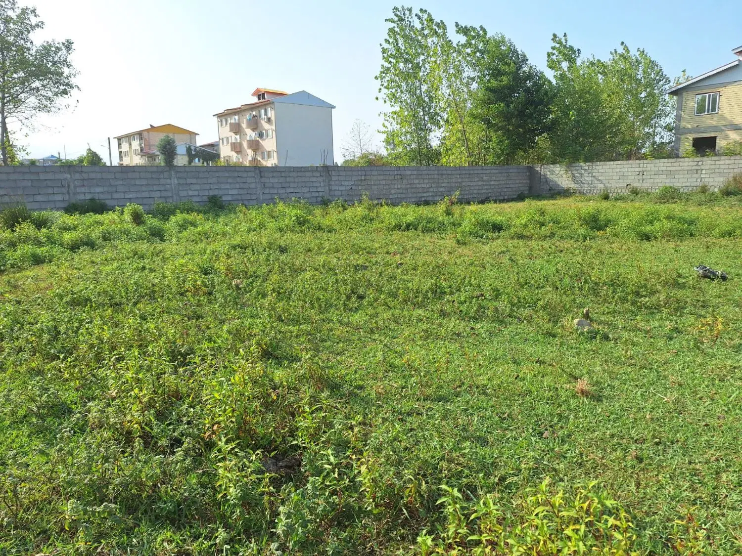 زمینی به متراژ۵۷۰مترمربع دارای سندتک برگ در پره سر