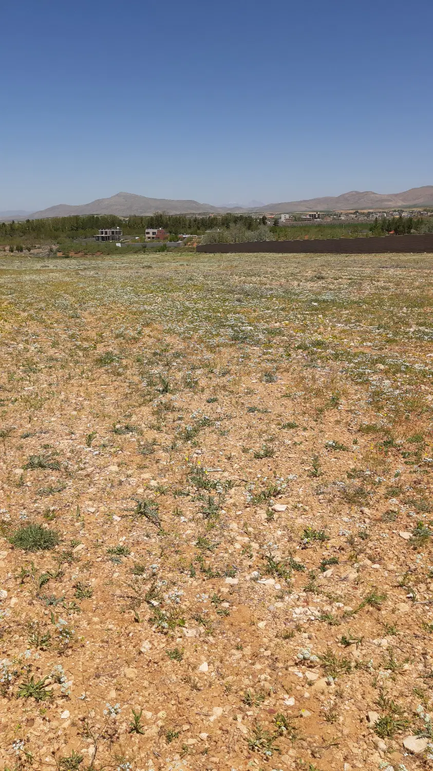 زمین ویلایی در روستای کودیان
