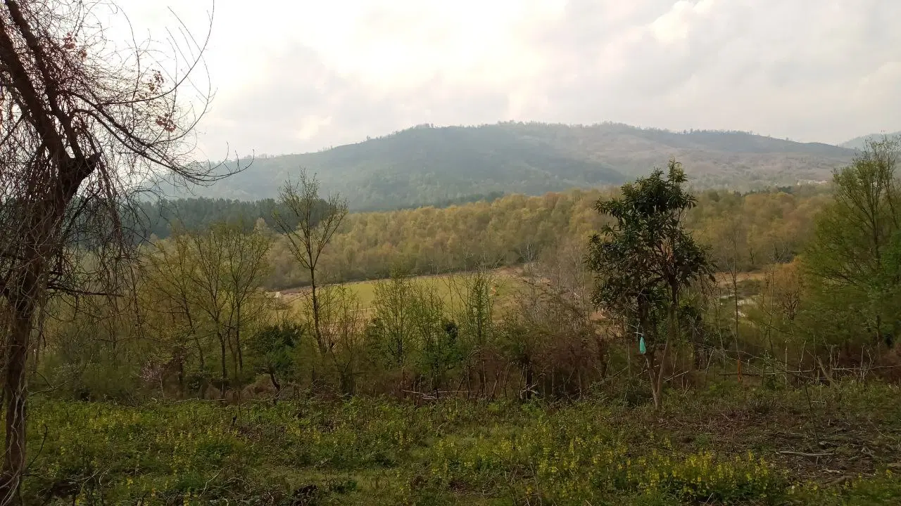 فروش زمین باغی