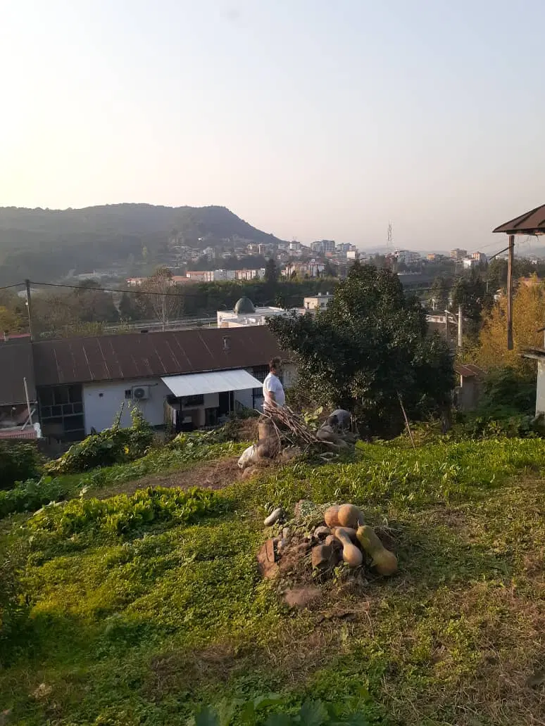 فروش زمین مسکونی