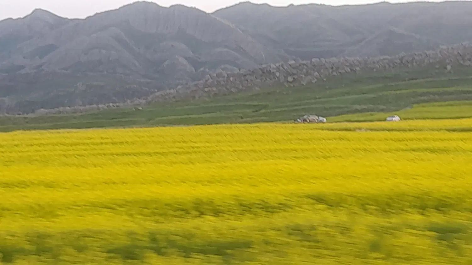 زمین کشاورزی ۱هکتار
