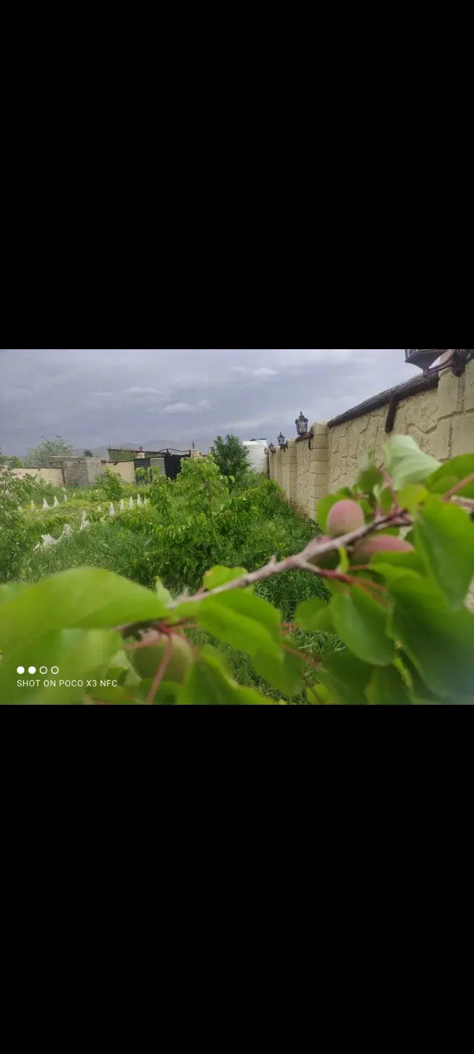 باغ حصارشده ۵۰۰ متر درکوی شاجی صوفیان