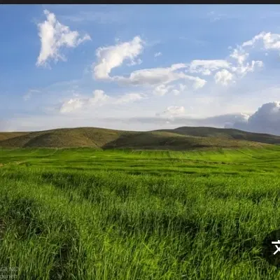زمین 5 کیلومتری روستای عربی