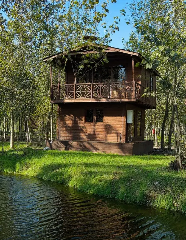خانه چوبی در دل طبیعت فرابکر